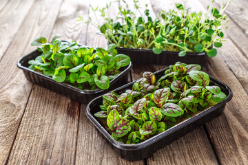 The microgreen in plastic trays.Mixed Microgreens in trays on wooden background.Sprouting Microgreens on the Hemp Biodegradable Mats.Germination of seeds at home. Vegan and healthy food concept.
