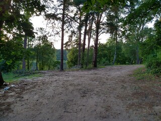 walk in the woods