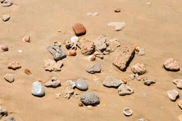 Seashells with small stones on sand, closeup