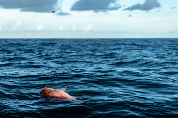 Fishing Gulf of Mexico Red Snapper Offshore Rods