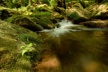 waterfall in the forest