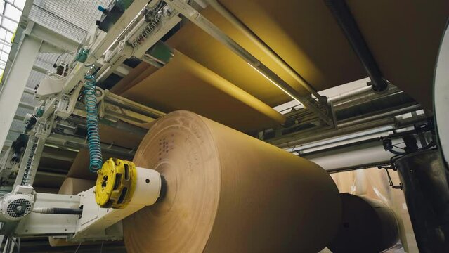 Production of corrugated paper and paper containers. Packing factory. Paper reel
