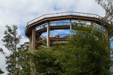 Beautiful view of the Observation tower of the Black Forest Canopy Walk