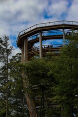 Vertical shot of the Observation tower of the Black Forest Canopy Walk