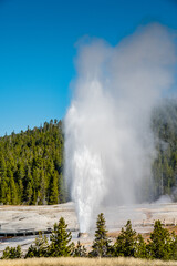 Beehive Geyser Eruption