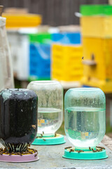 Drinker for bees. A three-liter lance with water for honey bees. Drinking bowl for insects. Bees fly and drink water.