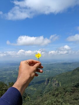 Vertical shot of a small yellow flower in a human hand on a mountain against cloudy sky