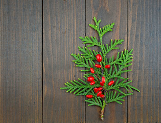 Pine branch and red berries on a natural wooden background.New Year's concept of a Christmas tree, winter. Juniper .