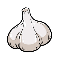Simple and realistic garlic illustration