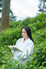 Researchers are checking the quality of tea leaves in tea plantations.Hand and tea leaves, soft tops of tea leaves ,Researcher hands on plants have tea leaves at hand and work files to check for work.