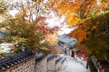 autumn in the temple