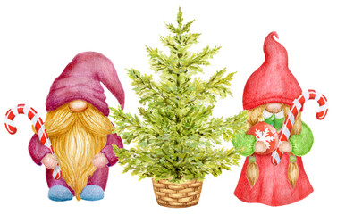 Watercolor Cute Gnomes with Christmas Tree. Little gnomes in funny hat with striped candy cane. Holidays aquarelle gnomes for New year greetings card or invitation.