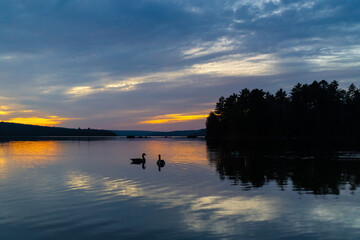 Two Geese Enjoying a Sunset
