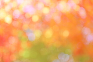 かえでの紅葉のぼかし