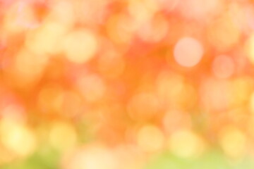 かえでの紅葉のぼかし