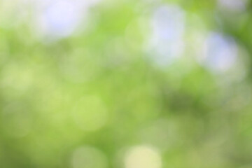 Bokeh green nature, Subtle background in abstract style for graphic design