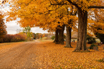 Fall trees beside a cemetery