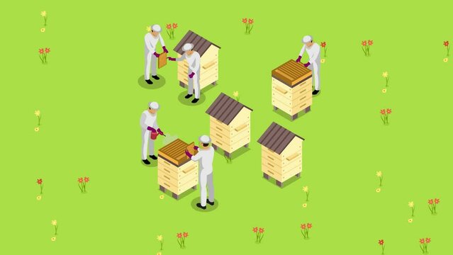 Group of farmers collecting honey from beehive