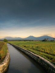 Beautiful landscape of villages around Banyuwangi city, East Java, Indonesia.
