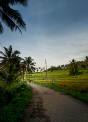 Beautiful landscape of villages around Banyuwangi city, East Java, Indonesia.