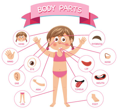 Body parts with vocabulary