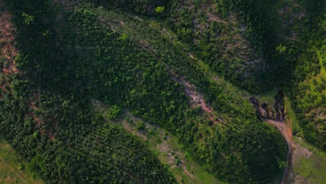 Above forested hills of Khadimnagar National Park surrounded by tea gardens