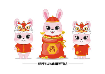 Rabbit Chinese New Year with Cute Rabbit in Gold Coin Bag and  Rabbit Wearing Chinese Dragon Head on White Background Vector