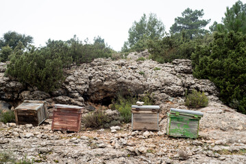 Old bee hives in the middle of the mountain