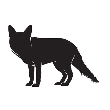 Fox silhouette. Vector illustration isolated on white background.