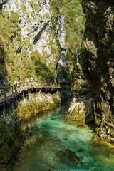 Fototapeta na wymiar Trail in the Vintgar Gorge in Slovenia