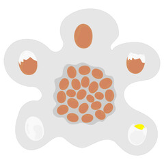 Set of egg vector shape 