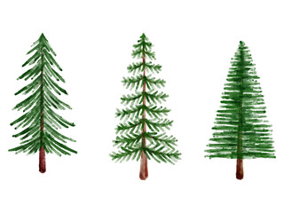 Christmas Pine Tree Watercolor