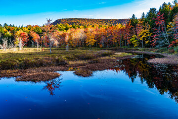 Autumn foliage colors in the trees that line the bend in the stream