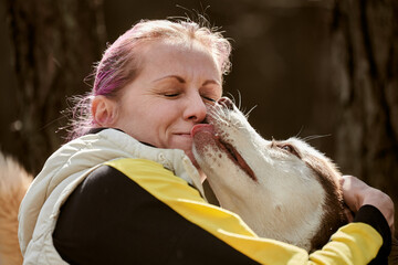 Siberian Husky dog kissing woman with pink hair, true love of human and pet, funny meet of brown Husky dog and female owner. Happy Husky dog licking girl face outdoor forest background - obrazy, fototapety, plakaty