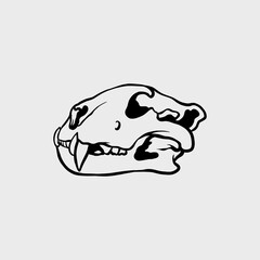 illustration of a Tiger skull