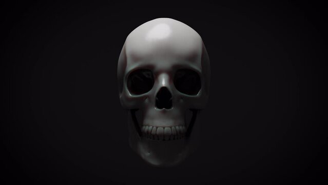 skull on a black background 3d Rendering	
