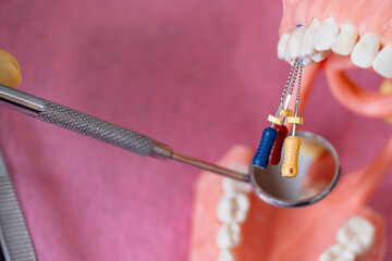 The dentist is holding dentures in his hands.