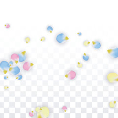 Vector Realistic Colorful Petals Falling on Transparent Background. Spring Romantic Flowers Illustration. Flying Petals. Sakura Spa Design. Blossom Confetti. Design Elements for Wedding Decoration.