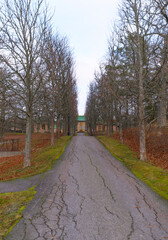Alley to the Chinese Castle in the Drottningholm Park a pale autumn day in Stockholm

