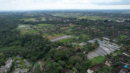 Fototapeta na wymiar Bali, Indonesia - November 11, 2022: The Campuhan Ridge Walk Ubud