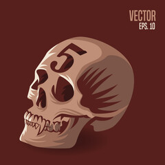 Skull Number 5 Illustration