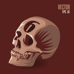 Skull Number 6 Illustration