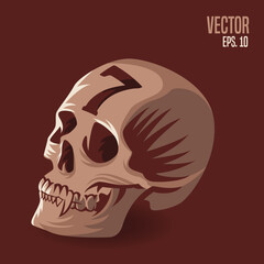 Skull Number 7 Illustration