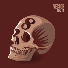 Skull Number 8 Illustration