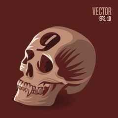 Skull Number 9 Illustration