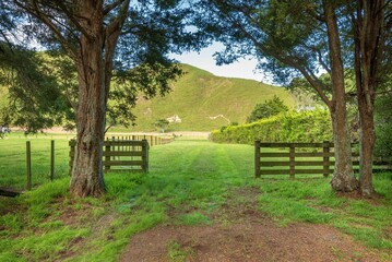 Gates and fences leading to a farm paddock in the Otaki area with trees in New Zealands