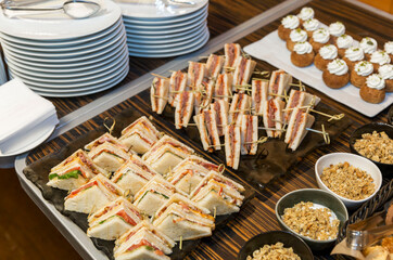 Appetizing sandwiches and snacks on the buffet table. Close-up. Business meetings and celebrations.