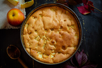 Apple romanian pie