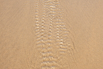 Fototapeta na wymiar Shallow. Blurred sandy background with running water. Shallow water.