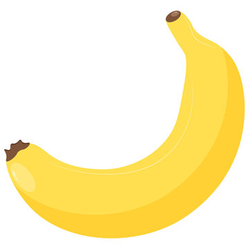 Cartoon banana. Yellow fruit isolated vector illustration. Yellow banana close-up on transparent background